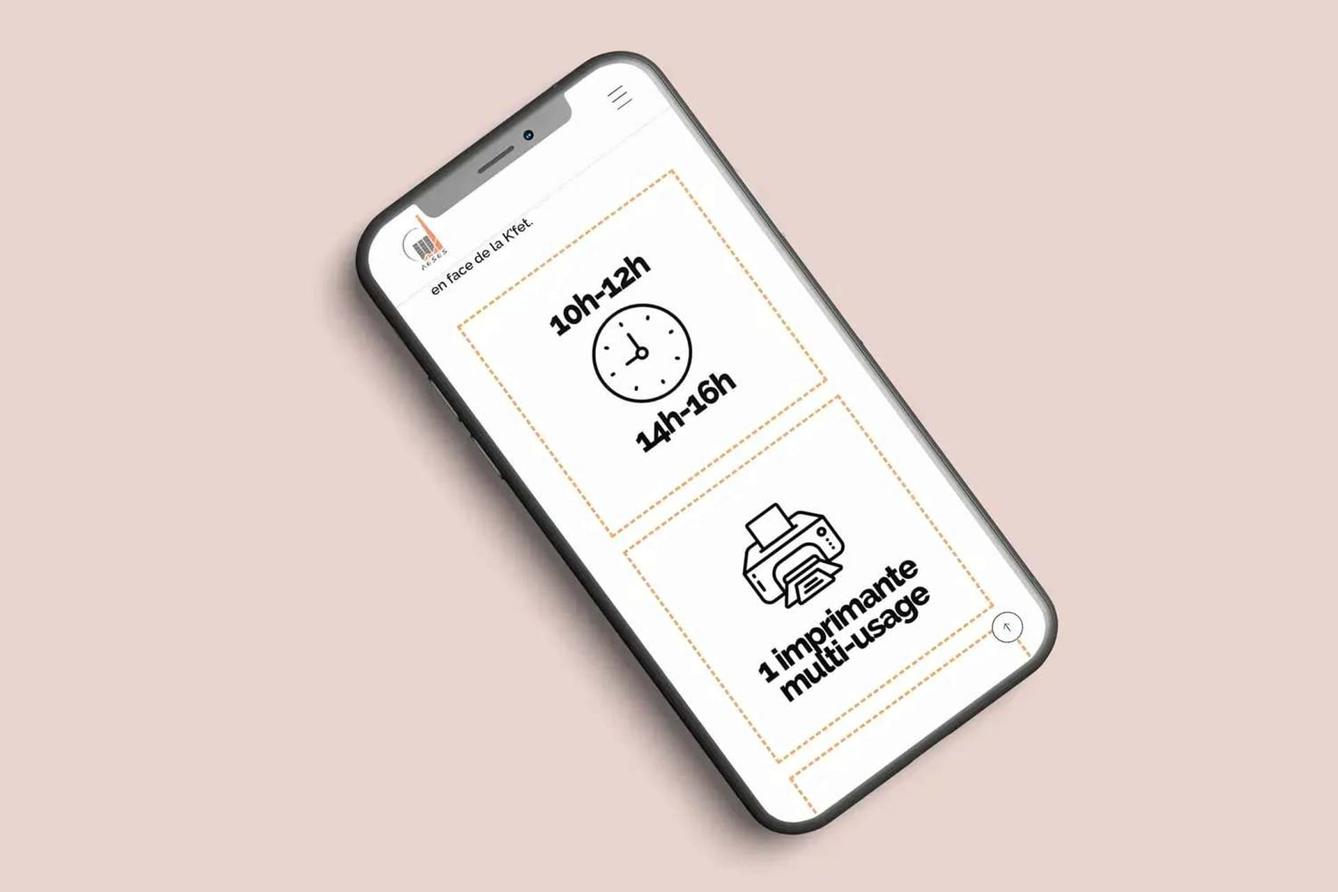 Section de la page de la COOP sur le site web de l'AESES